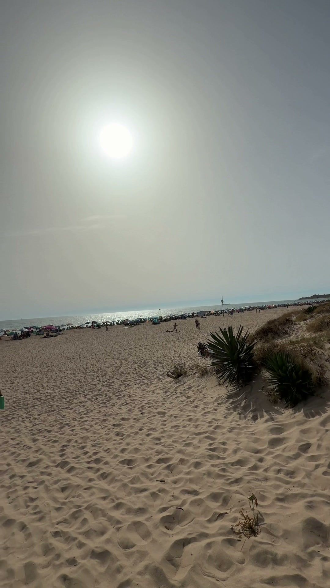 La playa de La Barrosa, con arena, dunas con vegetación y el mar al fondo